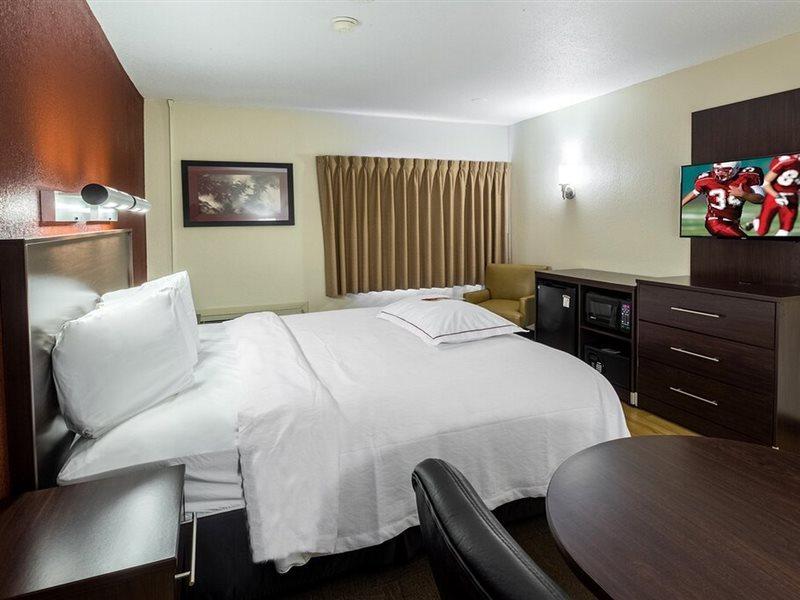 Red Roof Inn Plus+ South Deerfield - Amherst Exterior photo